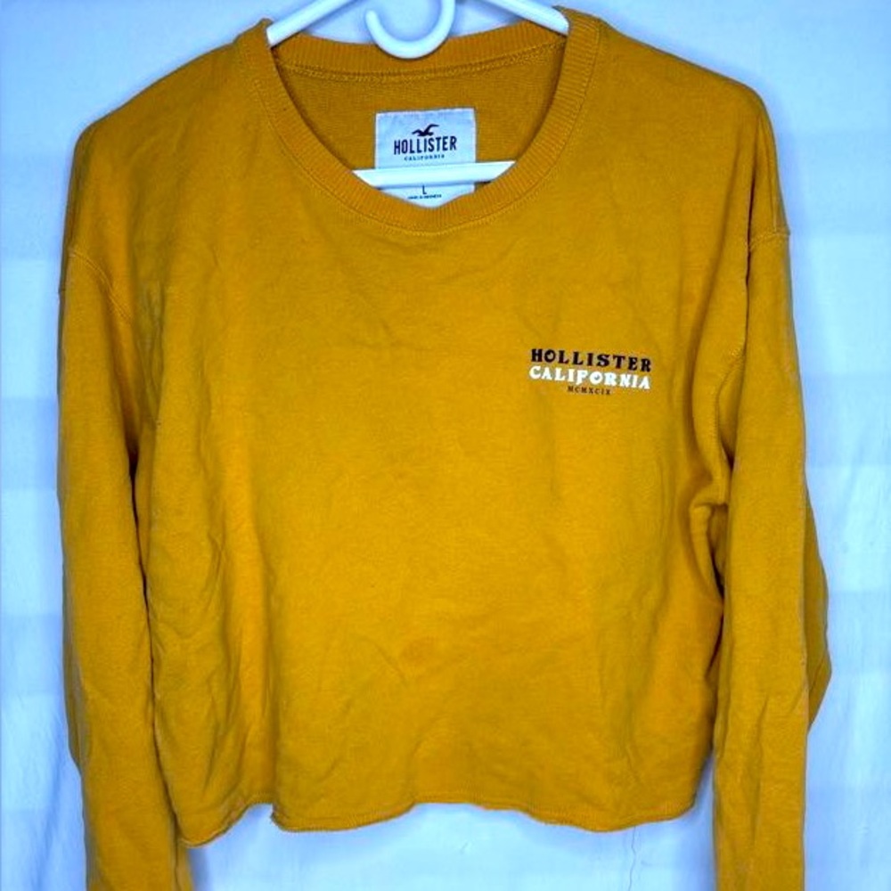 Yellow, graphic, “Wild Spirts Roam Free” cropped long sleeve